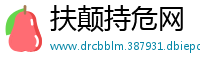 扶颠持危网